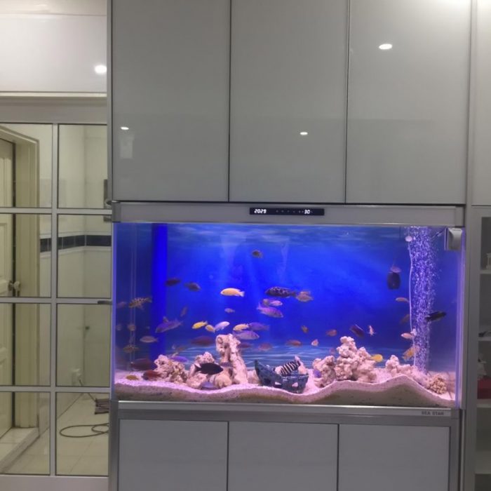 WhatsApp Image 2019-10-10 at 5.21.09 PM