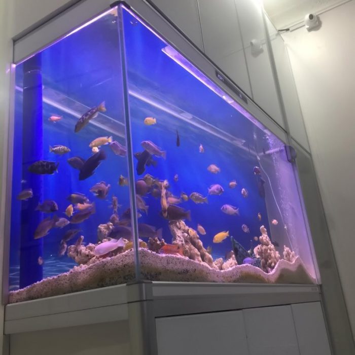 WhatsApp Image 2019-10-10 at 5.21.10 PM (2)